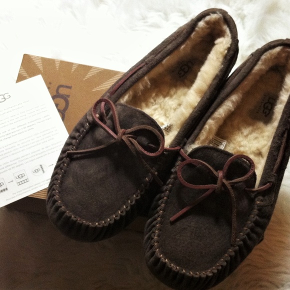 Grey Ugg House Slippers For Men Nwt
